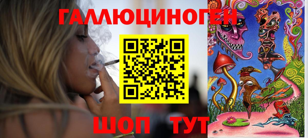 Клинцы  Псилоцибиновые грибы мицелий  Вход с VPN 