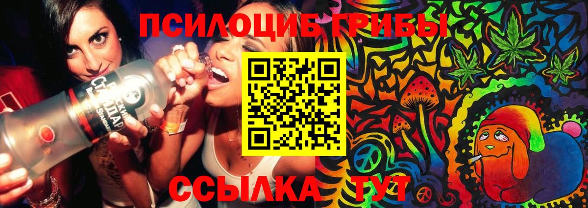 Галлюциногенные грибы прущие грибы Клинцы